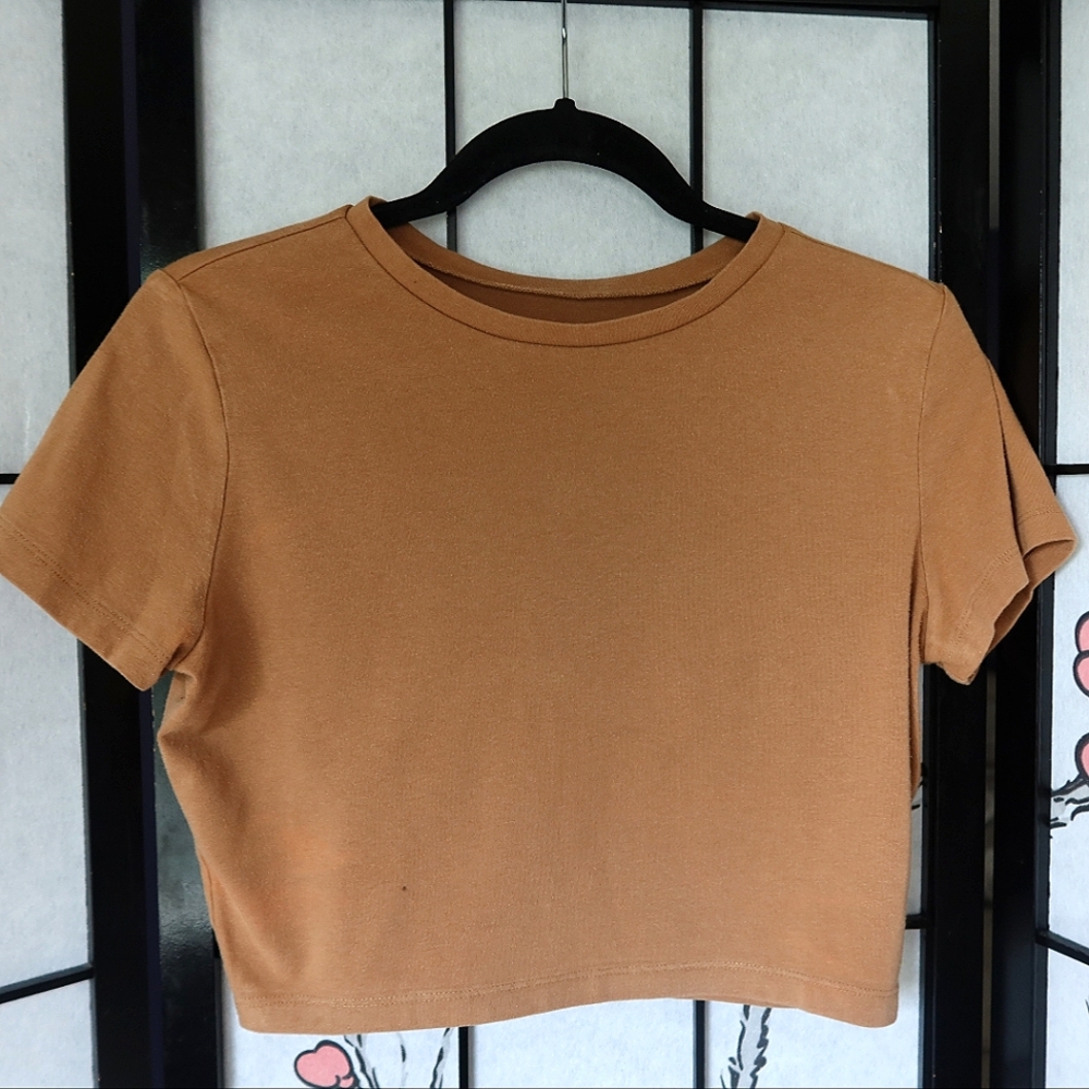 Wild Fable Tan Crop Top Baby Tee Large